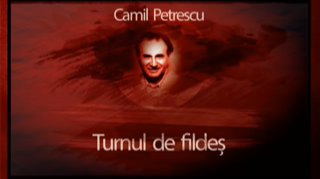poza