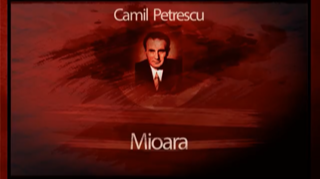 poza
